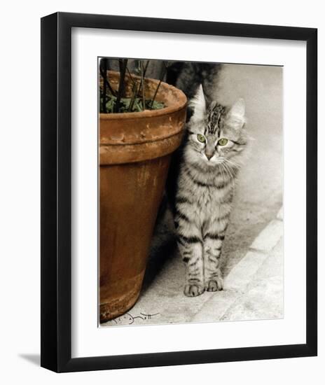 Minou-Joane Mcdermott-Framed Premium Giclee Print