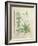 Mint and Plantain-Robinet Testard-Framed Giclee Print