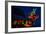 Mint Bar Neon Sheridan Wyoming-Steve Gadomski-Framed Photographic Print