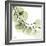 Mint Eucalyptus 2-Albert Koetsier-Framed Photographic Print