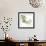 Mint Eucalyptus 2-Albert Koetsier-Framed Photographic Print displayed on a wall