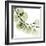 Mint Eucalyptus 2-Albert Koetsier-Framed Photographic Print