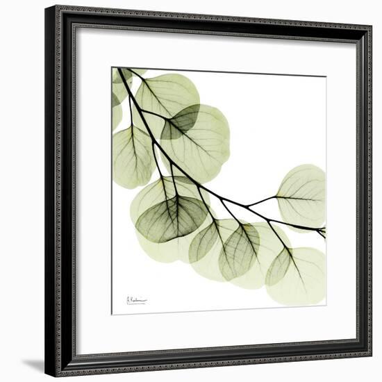 Mint Eucalyptus 2-Albert Koetsier-Framed Photographic Print