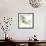 Mint Eucalyptus 2-Albert Koetsier-Framed Photographic Print displayed on a wall