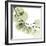 Mint Eucalyptus 2-Albert Koetsier-Framed Photographic Print