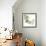 Mint Eucalyptus 2-Albert Koetsier-Framed Photographic Print displayed on a wall