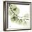 Mint Eucalyptus 2-Albert Koetsier-Framed Photographic Print