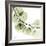 Mint Eucalyptus 2-Albert Koetsier-Framed Photographic Print