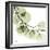 Mint Eucalyptus 2-Albert Koetsier-Framed Photographic Print