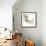 Mint Eucalyptus 2-Albert Koetsier-Framed Photographic Print displayed on a wall