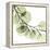 Mint Eucalyptus 2-Albert Koetsier-Framed Stretched Canvas