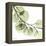 Mint Eucalyptus 2-Albert Koetsier-Framed Stretched Canvas