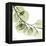 Mint Eucalyptus 2-Albert Koetsier-Framed Stretched Canvas