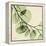 Mint Eucalyptus 2-Albert Koetsier-Framed Stretched Canvas