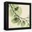 Mint Eucalyptus 2-Albert Koetsier-Framed Stretched Canvas