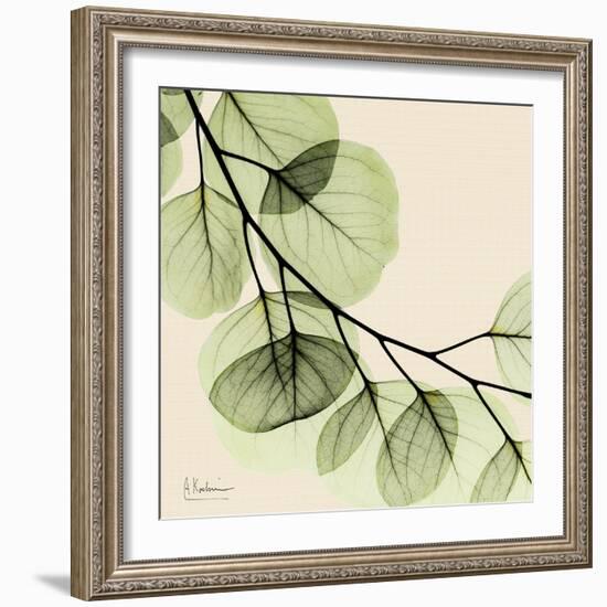 Mint Eucalyptus 2-Albert Koetsier-Framed Art Print