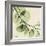 Mint Eucalyptus 2-Albert Koetsier-Framed Art Print