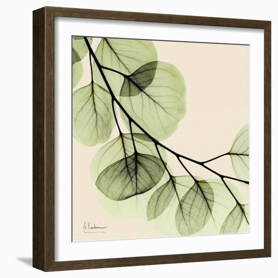 Mint Eucalyptus 2-Albert Koetsier-Framed Art Print