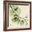 Mint Eucalyptus 2-Albert Koetsier-Framed Art Print