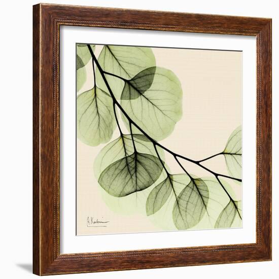 Mint Eucalyptus 2-Albert Koetsier-Framed Art Print