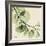 Mint Eucalyptus 2-Albert Koetsier-Framed Art Print