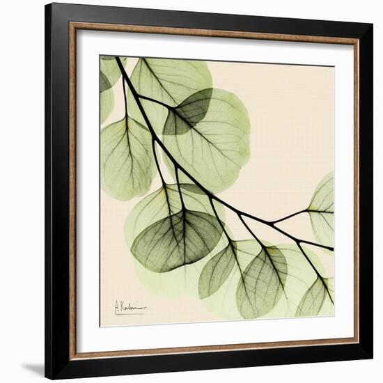 Mint Eucalyptus 2-Albert Koetsier-Framed Art Print