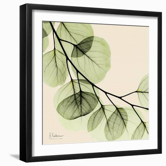 Mint Eucalyptus 2-Albert Koetsier-Framed Art Print