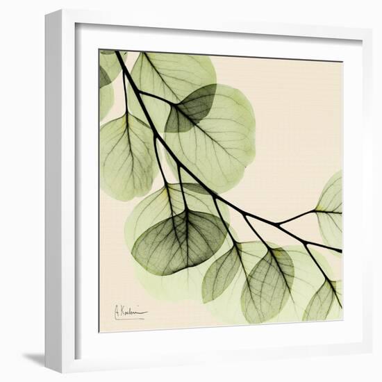 Mint Eucalyptus 2-Albert Koetsier-Framed Art Print