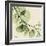 Mint Eucalyptus 2-Albert Koetsier-Framed Art Print