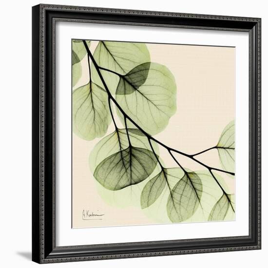 Mint Eucalyptus 2-Albert Koetsier-Framed Art Print