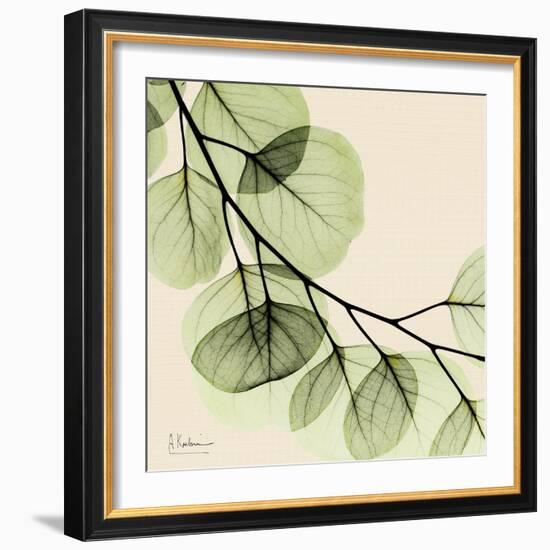 Mint Eucalyptus 2-Albert Koetsier-Framed Art Print