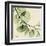 Mint Eucalyptus 2-Albert Koetsier-Framed Art Print