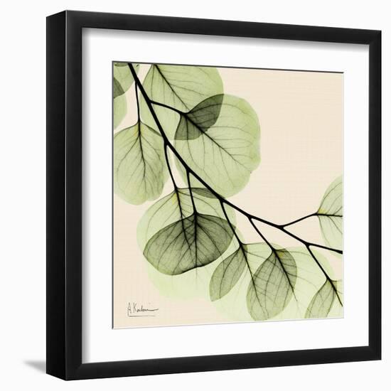 Mint Eucalyptus 2-Albert Koetsier-Framed Art Print