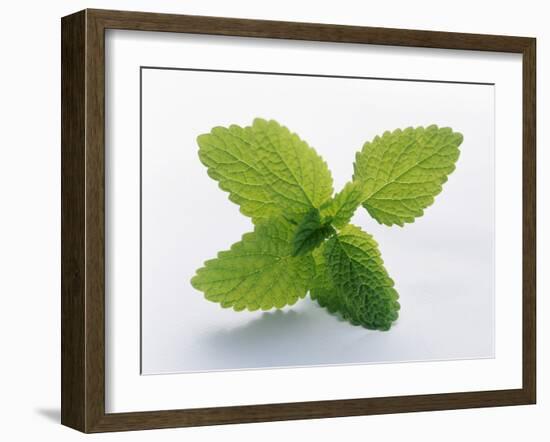 Mint Leaves-null-Framed Photographic Print