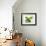 Mint Leaves-null-Framed Photographic Print displayed on a wall