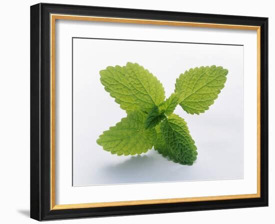 Mint Leaves-null-Framed Photographic Print