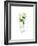 Mint Mojito-Sara Berrenson-Framed Art Print