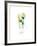 Mint Mojito-Sara Berrenson-Framed Art Print