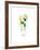 Mint Mojito-Sara Berrenson-Framed Art Print