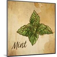 Mint on Burlap-Color Me Happy-Mounted Art Print