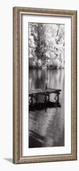 Mint Springs Lake Panel I-Alan Hausenflock-Framed Photographic Print