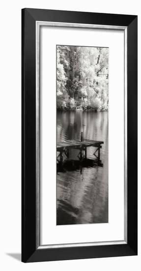 Mint Springs Lake Panel I-Alan Hausenflock-Framed Photographic Print
