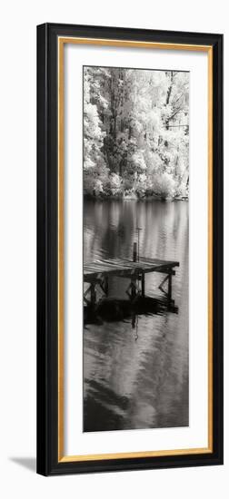 Mint Springs Lake Panel I-Alan Hausenflock-Framed Photographic Print