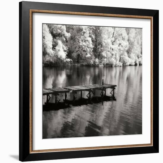 Mint Springs Lake Square III-Alan Hausenflock-Framed Photographic Print