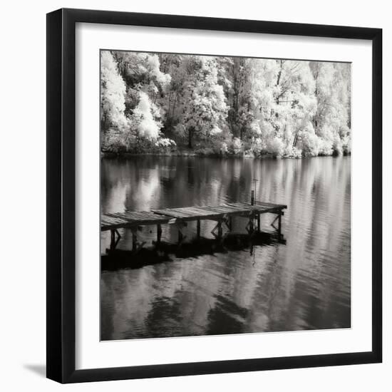 Mint Springs Lake Square III-Alan Hausenflock-Framed Photographic Print