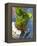 Mint Tea, Marrakech, Morocco, North Africa, Africa-Nico Tondini-Framed Premier Image Canvas