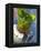 Mint Tea, Marrakech, Morocco, North Africa, Africa-Nico Tondini-Framed Premier Image Canvas