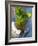 Mint Tea, Marrakech, Morocco, North Africa, Africa-Nico Tondini-Framed Photographic Print