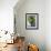 Mint Tea, Marrakech, Morocco, North Africa, Africa-Nico Tondini-Framed Photographic Print displayed on a wall