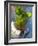 Mint Tea, Marrakech, Morocco, North Africa, Africa-Nico Tondini-Framed Photographic Print